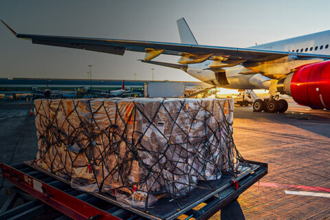 Sustained Double-Digit Growth: Air Cargo Thrives for Nine Straight Months