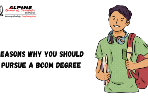 Reasons Why You Should Pursue a BCom Degree