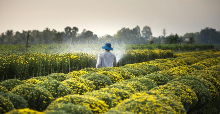 The Role of Government Policies in Shaping Agricultural Practices