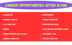 Career Opportunities After B.Com