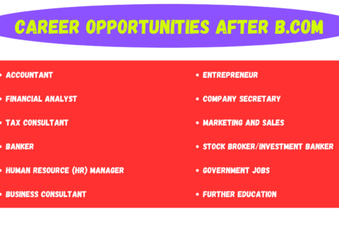 Career Opportunities After B.Com