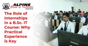 The Role of Internships in a B.Sc. IT Course: Why Practical Experience is Key