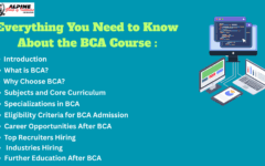 Everything You Need to Know About the BCA Course
