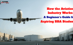 How the Aviation Industry Works A Beginner’s Guide for Aspiring BBA Students
