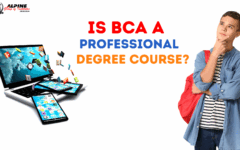 Is BCA a Professional Degree Course?