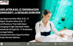 Scope After B.Sc. IT (Information Technology) : A Detailed Overview