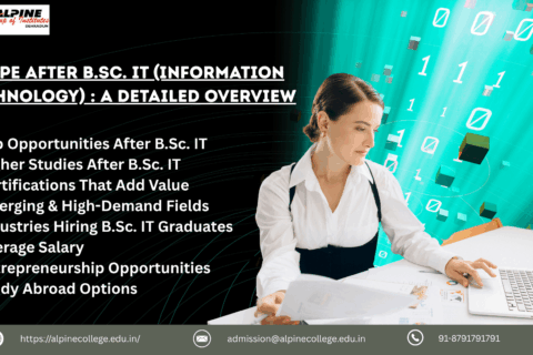 Scope After B.Sc. IT (Information Technology) : A Detailed Overview