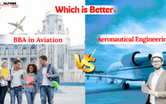 Which is Better: BBA in Aviation or BTech in Aeronautical Engineering?