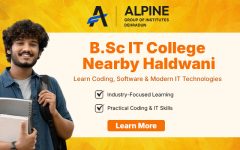 Haldwani BSc IT College